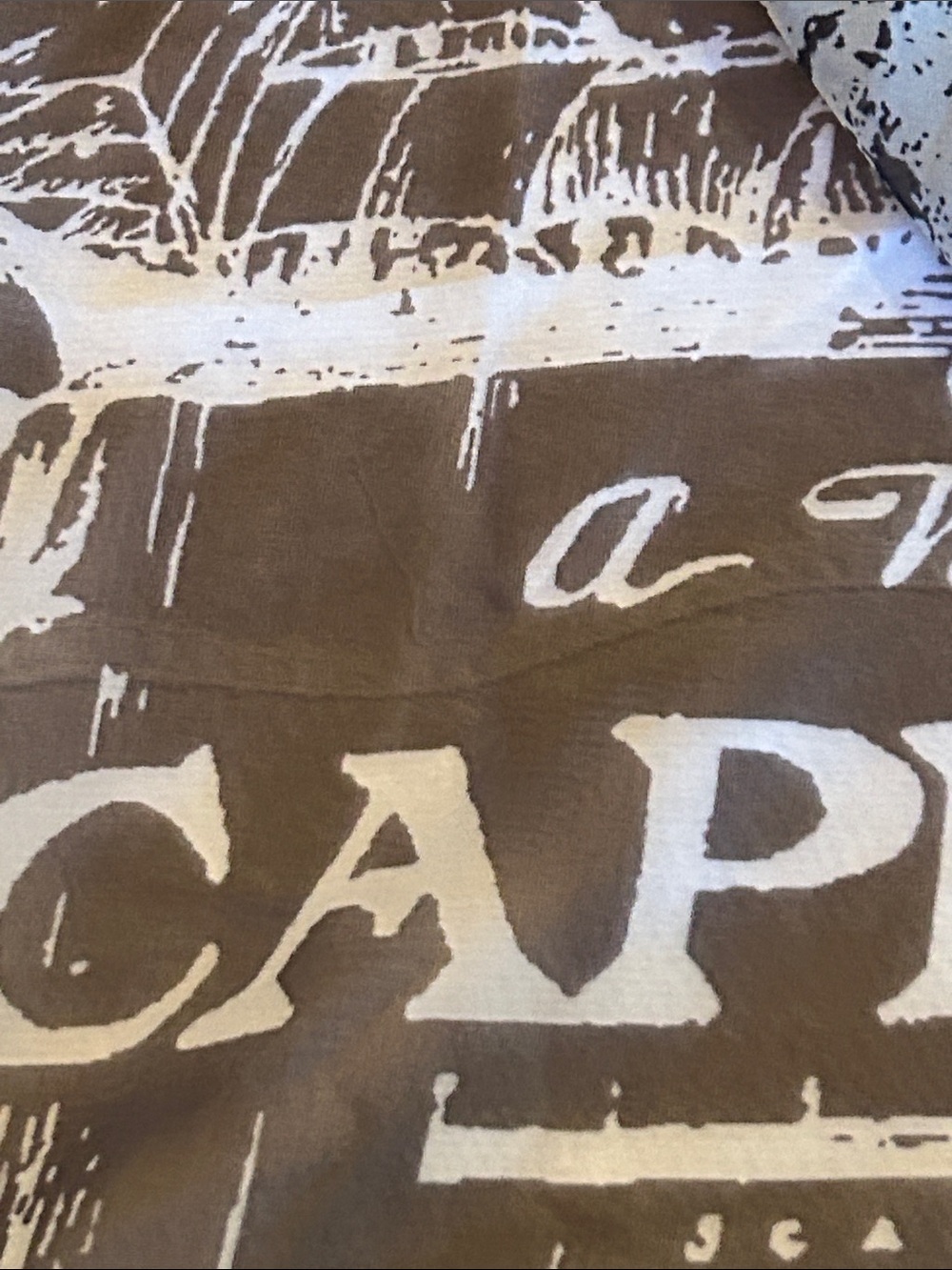 Cape Cod Map Scarf  - Blue - Picture 9 of 12
